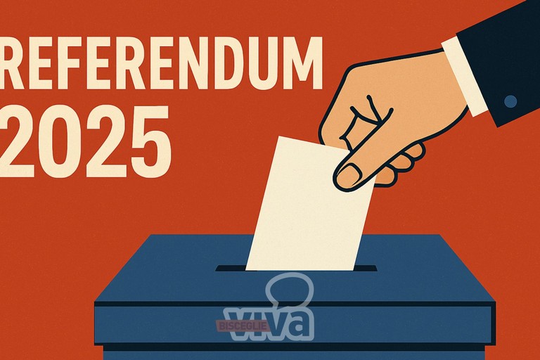 referendum