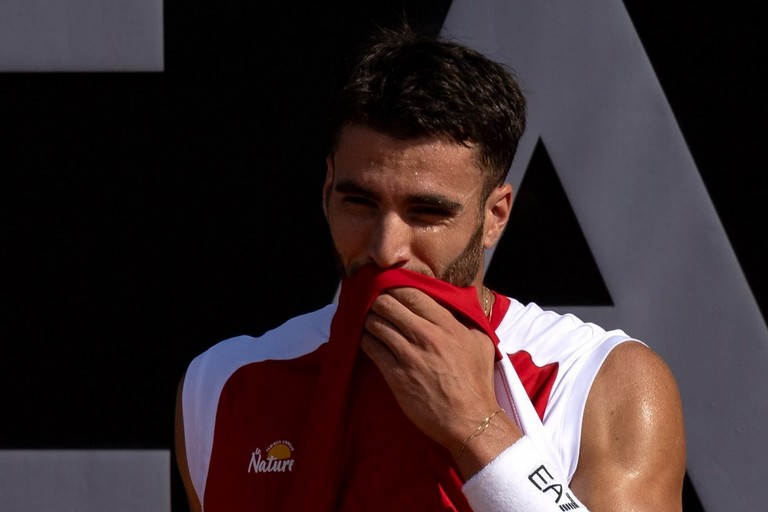 Andrea Pellegrino