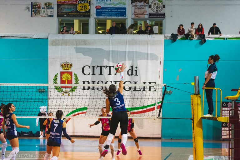 Sportilia Volley Bisceglie. <span>Foto Massimo Lavermicocca</span>