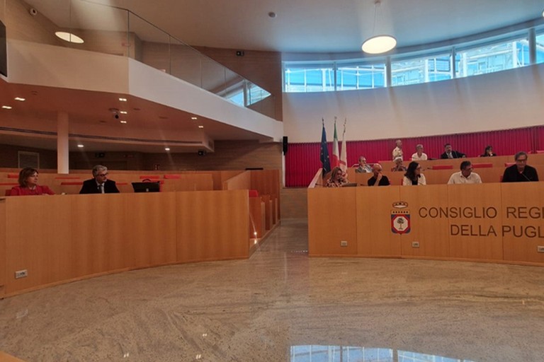 Audizione commissione sanità