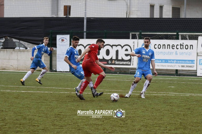 Unione Calcio Bisceglie. <span>Foto Marcello Papagni</span>