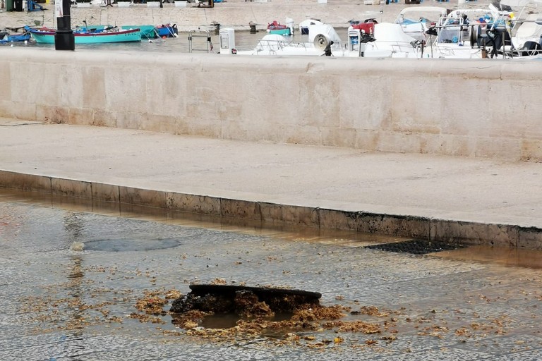 Temporale improvviso, spuntano deiezioni dai tombini di via Nazario Sauro