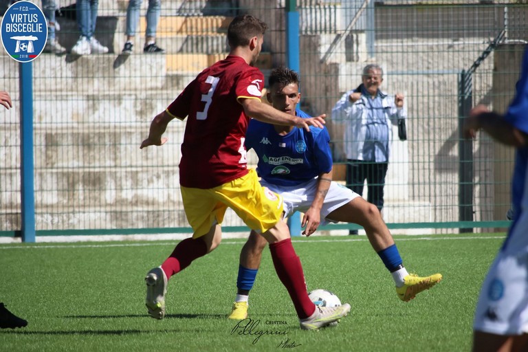 Vincenzo Moschetta. <span>Foto Cristina Pellegrini</span>