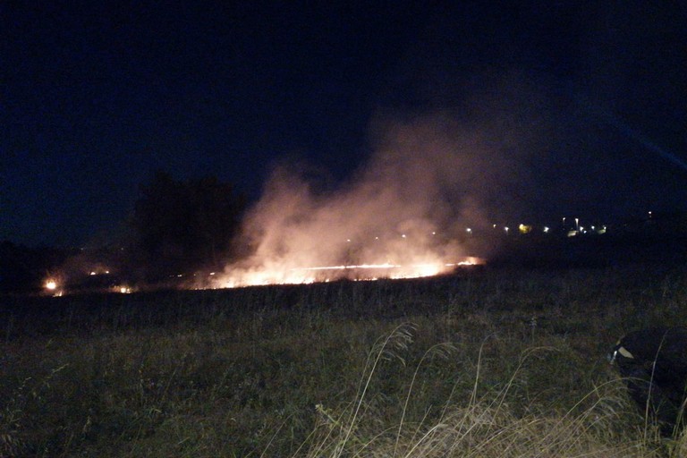 Incendio di sterpaglie in zona Sant'Andrea a Bisceglie