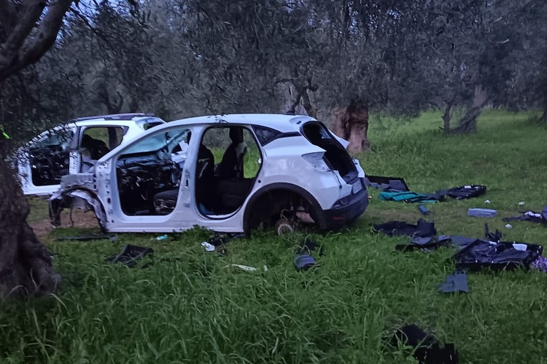Due auto rubate e cannibalizzate: recuperate dalle Guardie Ambientali